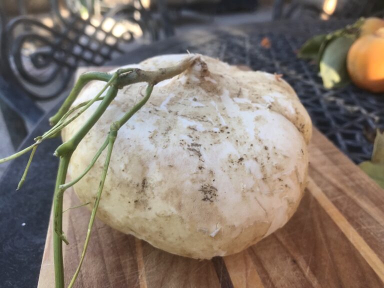 Spicy Jicama Slaw Angkor Chef
